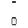 Подвесной светильник Indigo Capsula 14027/2P Black V000155L