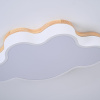 Потолочная люстра ImperiumLoft Cloud Eco 189500-26