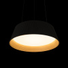 Подвесной светильник Loft IT Evans 10224P Black