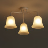 Потолочная люстра Freya Bells FR5448CL-03W