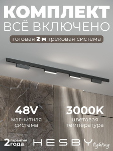 Трековая система со светильниками №4 трехфазная накладная Eldeko (48В, форма - прямая, 2м, 3000K) черная Hesby Lighting HSBL_kompl_E004_NI2B3K
