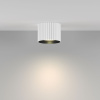 Потолочный светильник Maytoni Technical Calipso C106CL-GX53-W
