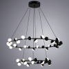 Подвесная люстра ARTE Lamp A3619SP-48BK