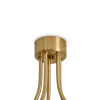 Потолочная люстра Freya Caramel FR5522PL-05BS