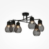 Потолочная люстра Freya Kaisa FR5069PL-06B