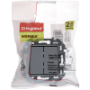 Переключатель двухклавишный Legrand Inspiria 673657