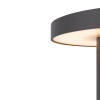 Уличный светильник Maytoni Wald O420FL-L12GF