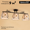Потолочная люстра Citilux Дрезден CL409231