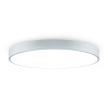 Потолочный светильник Freya Sprida FR6129CL-L80GR