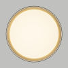 Потолочный светильник Citilux Boss CL751351G
