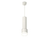 Подвесной светильник Ambrella Light Techno spot (A2301, C6355, A2101, C8110, N8399) XP8110009