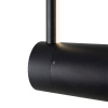 Настенный светильник Freya Mystery FR6063WL-L8B