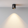 Накладной светильник Maytoni Alfa LED C064CL-5W3K-RD-B