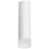 Накладной светильник Lightstar Rullo R649681 (216496+202481)