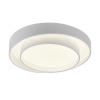 Потолочный светильник Myfar Rhea MR9160-CL