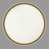 Потолочный светильник Citilux Etalon CL750501R