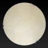 Настенно-потолочный светодиодный светильник Toplight Jane TL9641Y-00WH