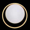 Потолочная люстра Natali Kovaltseva LED LAMPS 81304
