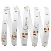 Светодиодная лента Apeyron 12В СТ 4,8Вт/м smd3528, 60д/м IP67 (НАНО) 5м желтая 00-83