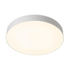 Потолочный светильник Citilux Bart CL755490