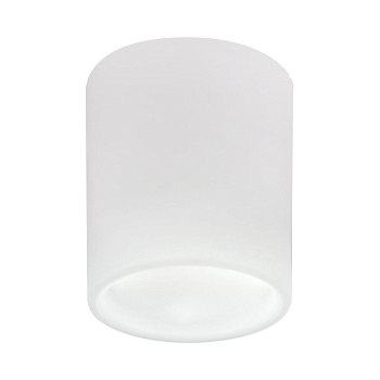 Накладной светильник Lightstar Solido E27 216626