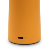 Настольная лампа Freya Mushroom FR6109TL-L4OR
