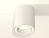 Потолочный светильник Ambrella Light Techno Spot XS7421020 (C7421, N7110)