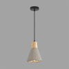 Подвесной светильник Lumion Suspentioni Eoliana 8351/1B