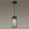 Уличный светильник Odeon Light 4834/1