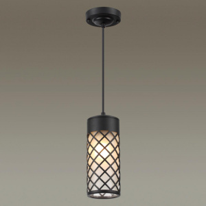 Уличный светильник Odeon Light 4834/1