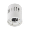 Накладной светильник Fametto DLC-S619 GX53 WHITE UL-00009790