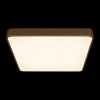 Потолочный светильник Loft IT Flims 10228/D