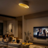Потолочный светильник Citilux Floom CL736152