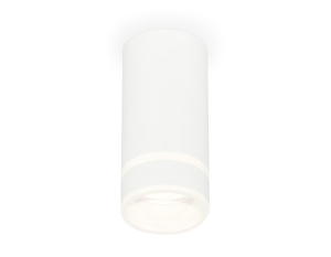 Потолочный светильник Ambrella Light Techno Spot XS8161005 (C8161, N8444)