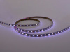 Светодиодная лента LEDS POWER 5050 60/м (19,2Вт/м) 24В RGB+CCT 005980