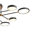 Потолочная люстра Natali Kovaltseva LED LAMPS 81102/6C BRASS BLACK