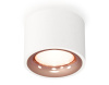 Потолочный светильник Ambrella Light Techno Spot XS7510025 (C7510, N7015)
