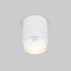 Накладной светильник Elektrostandard Cors 4690389192173 a062385