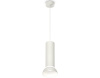 Подвесной светильник Ambrella Light Techno spot (A2331, C8191, N8140) XP8191100