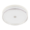 Накладной светильник Citilux Dixon CL747300V