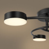 Потолочный светильник Freya Tibo FR6048CL-L6B
