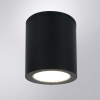 Уличный потолочный светильник Arte Lamp Torcular A1313PF-1BK