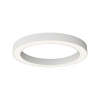 Потолочный светильник Maytoni Technical Lua C093CL-45W4K-W