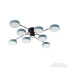 Потолочная люстра Arte Milano Ferrara 253039/8+1 Bk/Gr