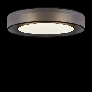 Потолочный светильник Freya Zoticus FR6005CL-L48G