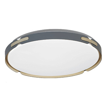 Потолочный светильник Lumina Deco Paneli LDC 8063-48W BL