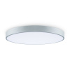 Потолочный светильник Freya Sprida FR6129CL-L80GR
