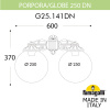 Уличный настенный светильник Fumagalli Globe 250 G25.141.000.AXF1RDN