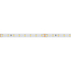 Светодиодная лента Arlight RT-A80-8mm 24V Warm3000 (6 W/m, IP20, 2835, 50m) 024525(2)