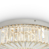 Потолочный светильник Freya Diadema FR6225CL-L36CH